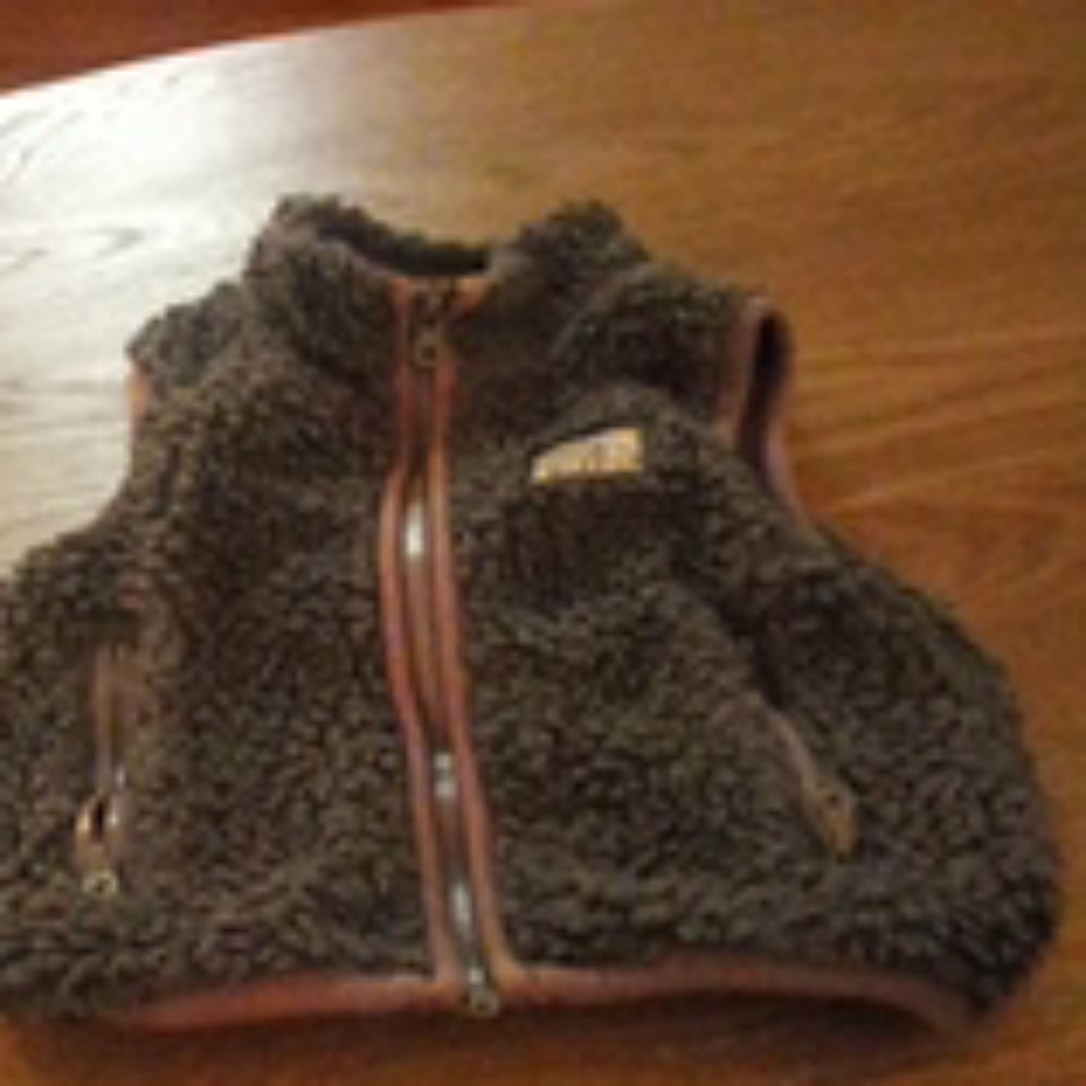 Vest